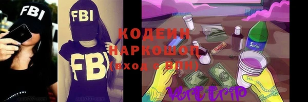 хмурый Фурманов