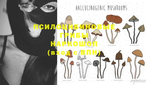 mdpv Горняк