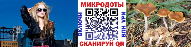 KRAKEN как войти  Невель  Галлюциногенные грибы Cubensis  наркотики 
