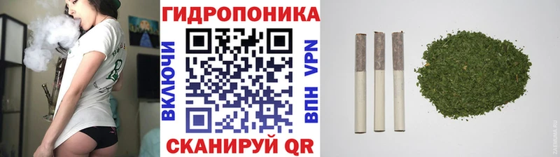 Каннабис гибрид Невель